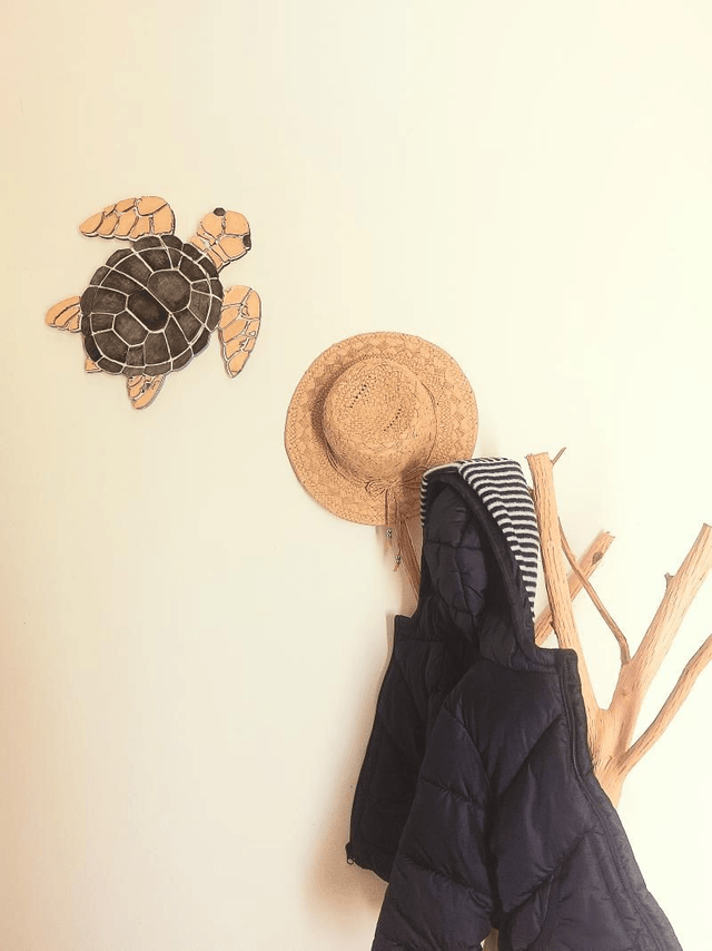 Tortue merveille