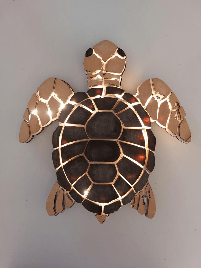 Tortue merveille