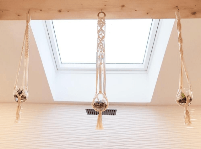 Mini suspension plantes