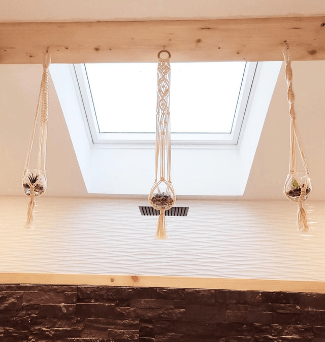 Mini suspension plantes