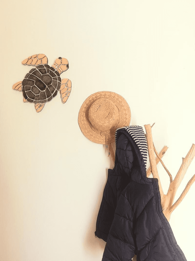 Tortue merveille