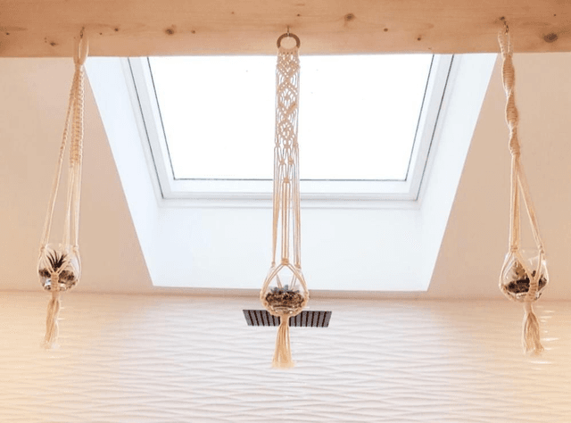 Mini suspension plantes